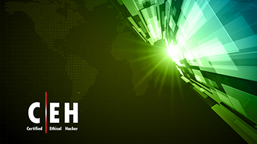 Certified Ethical Hacker